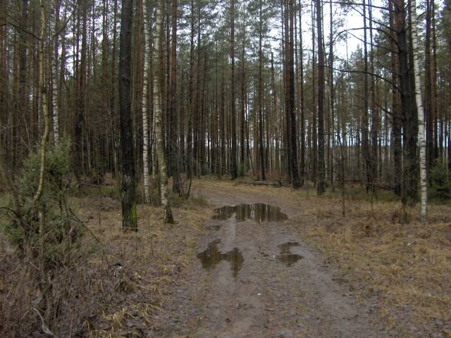 квадрат 3, круг 3